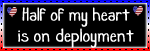 106524zarm19gnin.gif