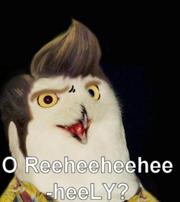 Creepy Owl Gif