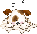 1286334p8n81jgy4y.gif