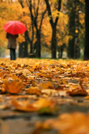 ���� ���� ������ �� ���� ������