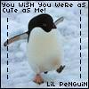 myspace layouts, myspace codes, glitter graphics